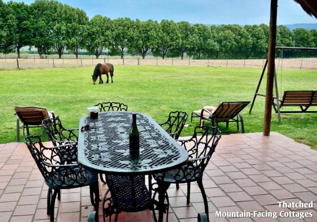 Ardmore Guest Farm Champagne Valley ภายนอก รูปภาพ