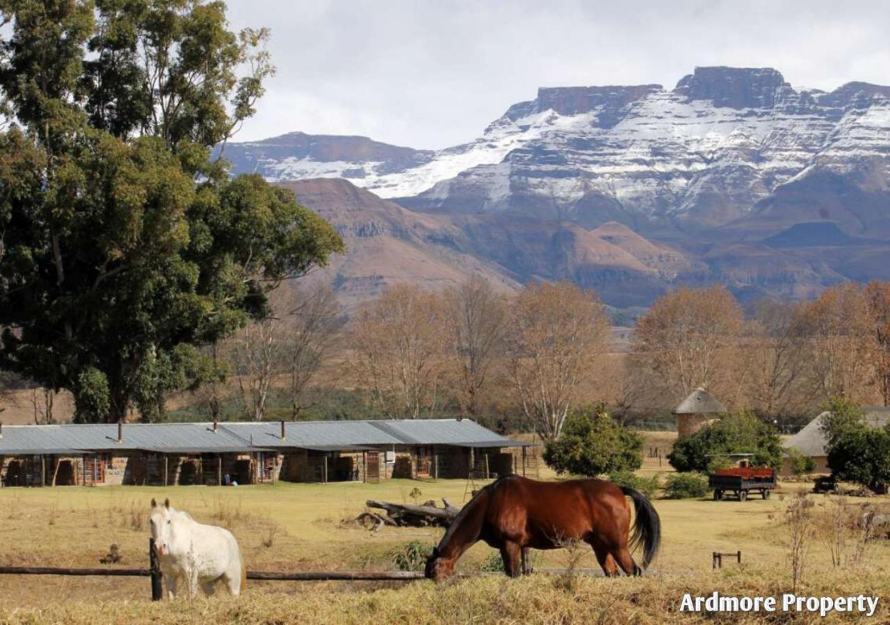 Ardmore Guest Farm Champagne Valley ภายนอก รูปภาพ