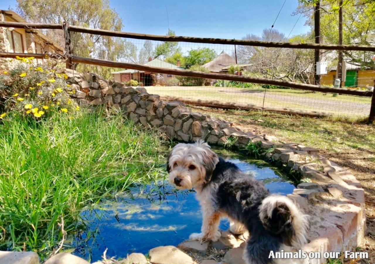 Ardmore Guest Farm Champagne Valley ภายนอก รูปภาพ