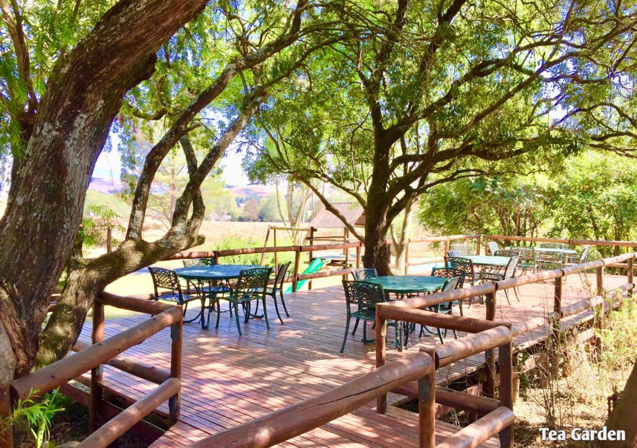 Ardmore Guest Farm Champagne Valley ภายนอก รูปภาพ